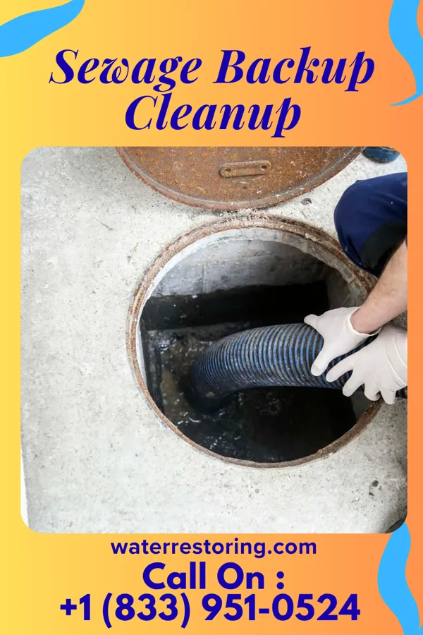 Sewage Backup Cleanup in Caledonia, MO
