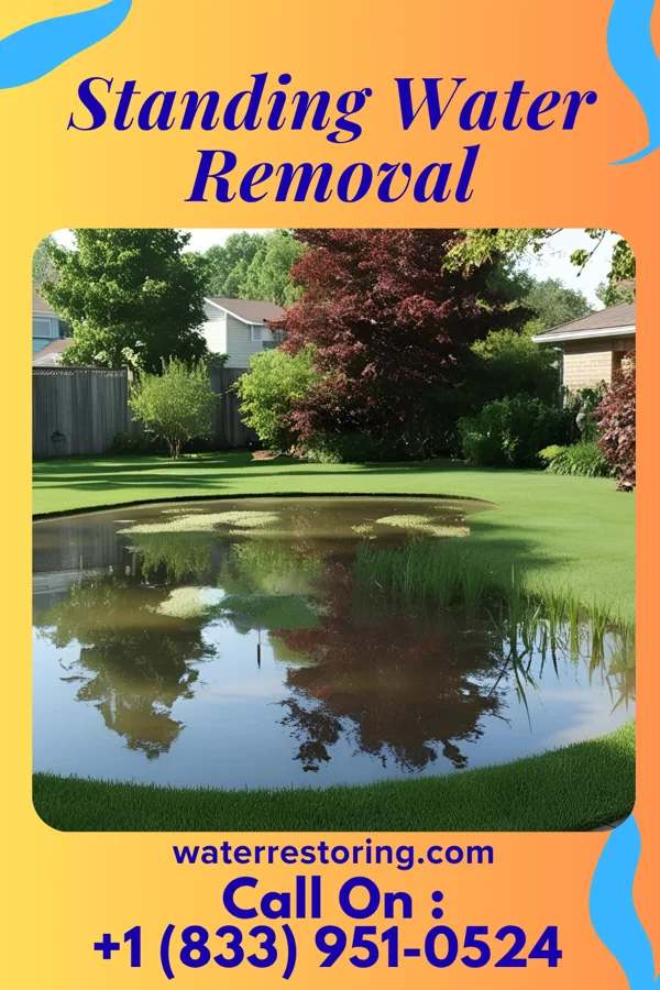 Standing Water Removal in Caledonia, MO